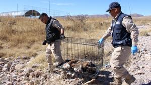 Relacionada 7269db36-a462-4c6e-b678-ede9934451ef.jpg