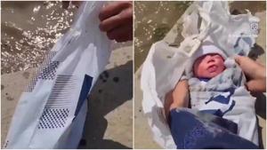 Relacionada fotojet-6.jpg