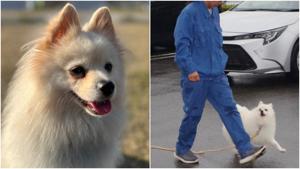 Relacionada fotojet-10.jpg