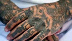 Relacionada screenshot-2026-04-21-192009-1.jpg