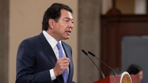 Relacionada mario-delgado-28-julio-2025.jpg