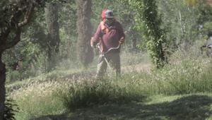 Relacionada whatsapp-image-2026-04-22-at-100548-am.jpg