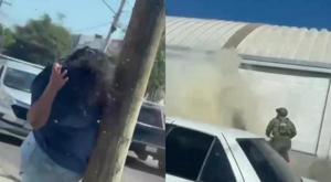 Relacionada principal_ataque-abejas.jpg