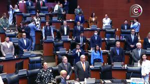 Relacionada senado-votaion.jpg