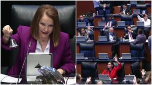 Relacionada senado.jpg