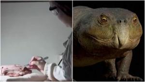 Relacionada fotojet-2.jpg