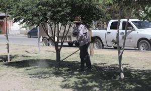 Relacionada parque.jpg