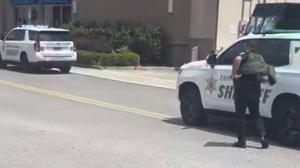 Relacionada louisiana.jpg