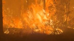 Relacionada incendiosgeorgiah.jpg