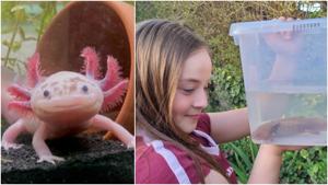 Relacionada fotojet-2.jpg