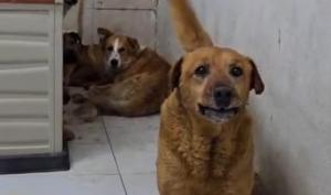 Relacionada whatsapp-image-2026-04-24-at-14139-pm.jpg