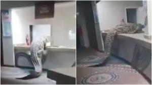 Thumb dcji4hsvmaao5cv