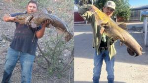 Relacionada bagre-rio-conchos.jpg