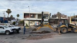 Relacionada img_7391.jpg