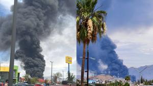 Relacionada inshot_20260426_143645213.jpg