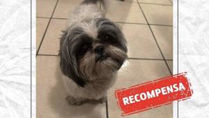 Relacionada da69c9e4-d8b4-4dbb-9c65-4dc158cd407b.jpg