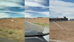 Relacionada inshot_20260426_145906334.jpg