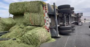 Relacionada img-20260426-wa0039.jpg