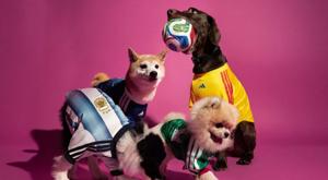 Relacionada download-2026-04-27t095342005.jpg