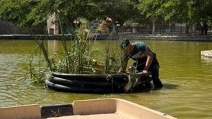 Relacionada whatsapp-image-2026-04-27-at-14840-pm.jpg