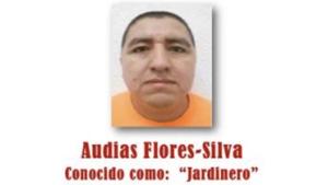 Relacionada audias.jpg