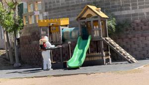 Relacionada whatsapp-image-2026-04-28-at-125734-pm.jpg