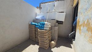 Relacionada 236ff18e-a16d-4fcb-884b-08563ef0f1c2.jpg