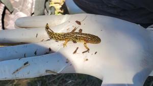 Relacionada 683322759_1402743491884637_1621563718151269375_n-1.jpg