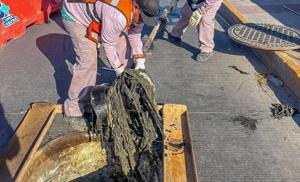 Relacionada whatsapp-image-2026-04-28-at-91555-pm.jpg