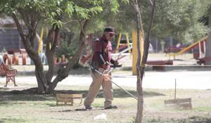 Relacionada whatsapp-image-2026-04-29-at-125345-pm.jpg