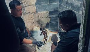 Relacionada mascota-685678725_973915855151315_1989294438820561462_n.jpg