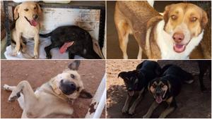 Relacionada fotojet-1.jpg