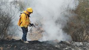 Relacionada img-20260430-wa00552.jpg