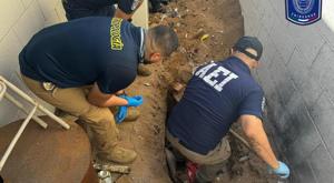 Relacionada urbivillaarch.jpg