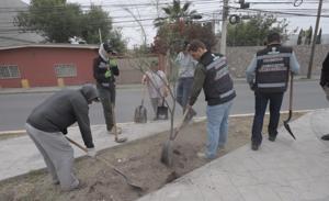 Relacionada whatsapp-image-2026-05-01-at-115817-am.jpg