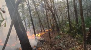 Relacionada incendio.jpg
