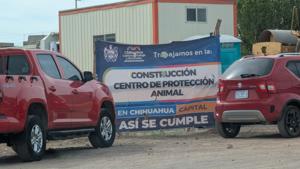 Relacionada inshot_20260505_093149083.jpg
