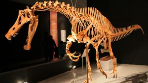 Relacionada irritator_challengeri_mount_01.jpg