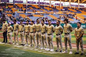 Relacionada dorados.jpg