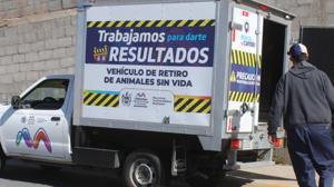 Relacionada df.jpg
