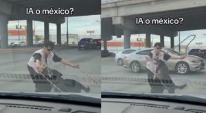 Relacionada sorprendio-perrito-con-trucos-en-crucero-de-las-torres.jpg