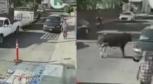 toro-puebla.jpg