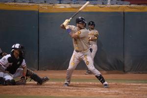 Relacionada cae-dorados-mineros.jpg
