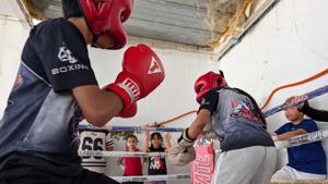 Relacionada box-6a11ffd414715__6a11ffd414716.jpg