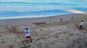 Relacionada triatlon.jpg
