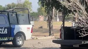 Relacionada descubrimiento-ocurrio-zona-cercana-jardin.jpg
