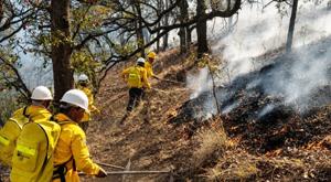 Relacionada incendios.jpg