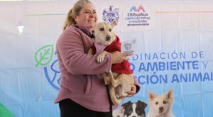 Relacionada esterilizaciones1.jpg