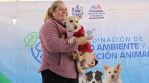 Relacionada perros.jpg