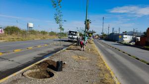 Relacionada 6a36d8edabb9f__6a36d8edabba0.jpg